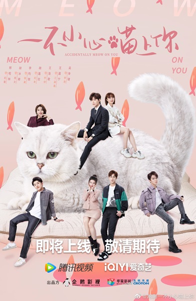 Accidentally Meow On You เหมียวเหมียวเกี่ยวใจให้เจอรัก ซับไทย EP.1-24 (จบ)