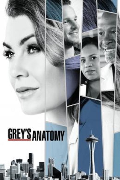 Grey’s Anatomy Season 14 (2017) ซับไทย Ep1-24 จบ